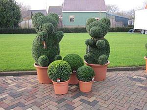 Buxus Tierformen
